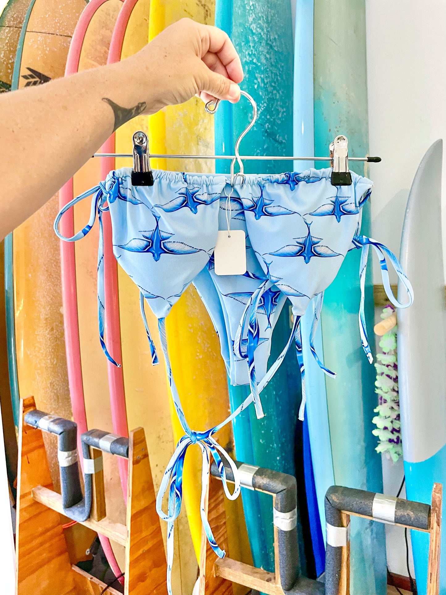 Flying Fish Recycled Triangle Bikini