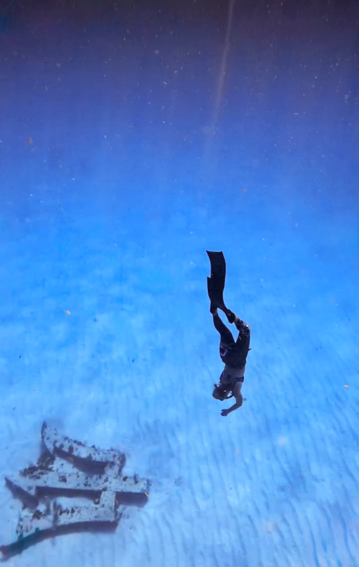 Sea Cat Leggings with pockets (Octopus)