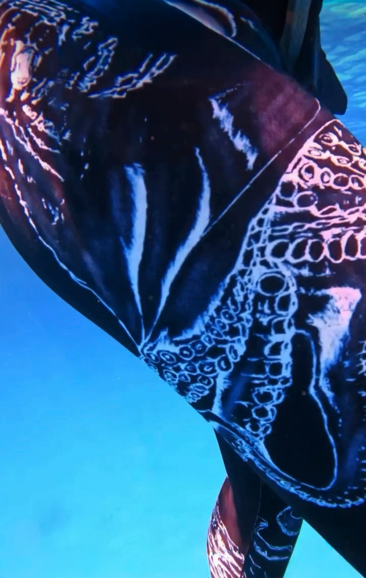 Sea Cat Leggings with pockets (Octopus)