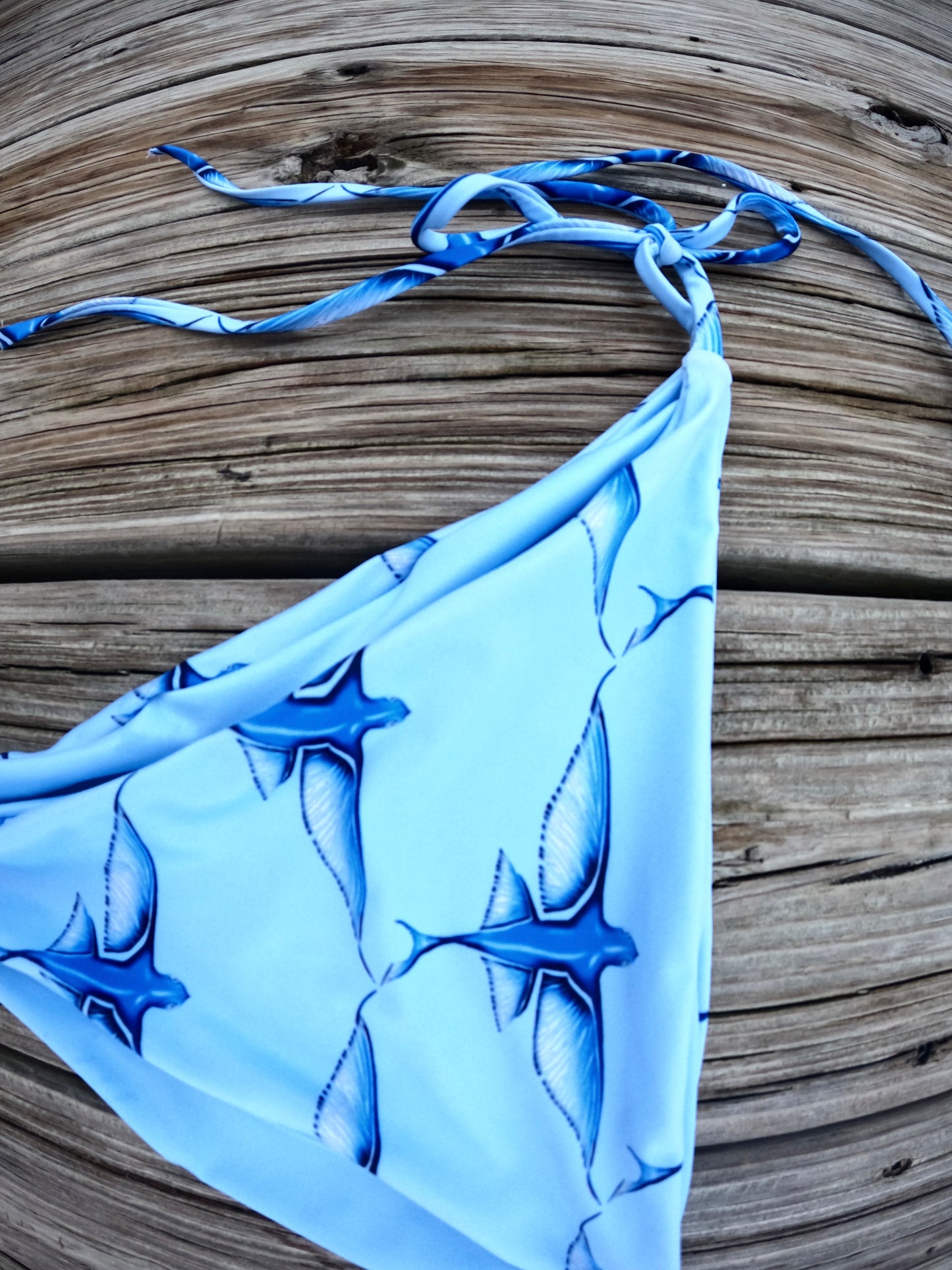 Flying Fish Recycled Triangle Bikini