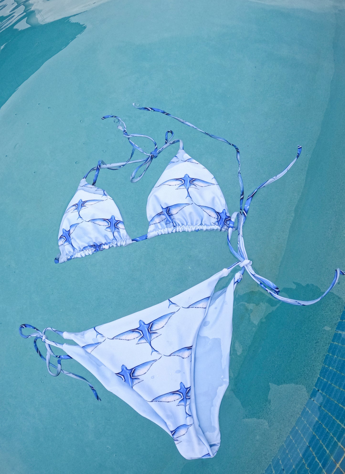 Flying Fish Recycled Triangle Bikini