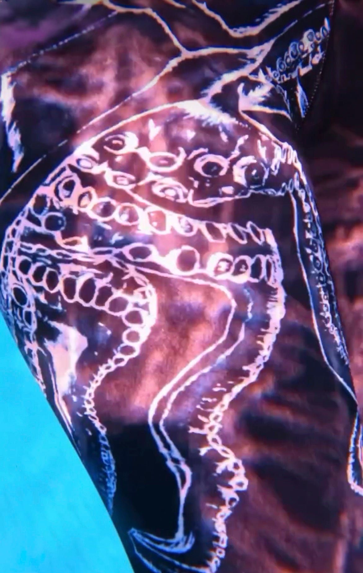 Sea Cat Leggings with pockets (Octopus)